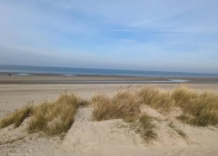 L\'Effet-Mer