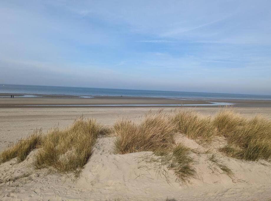 L'effet-mer Appartement *